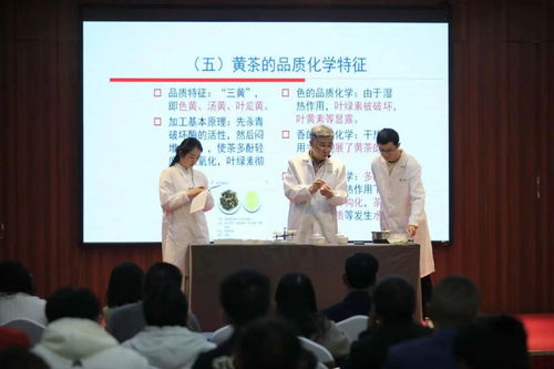 非遺活態傳承新篇章 黔北黃茶技藝選定黔東南代言人，推動茶文化深度交流